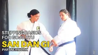San Dan Gi: Stepping Better for Goju Ryu