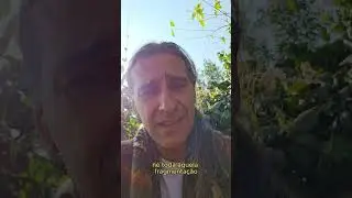 Falando sobre o ch&aacute; de Jurema Sagrada, e seus benef&iacute;cios. #juremasagradacatimbo #jurema #xamanismo