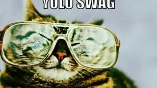 #YoloSwag