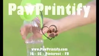 Flip-Up Leaf Portable Pet Water Bottle
