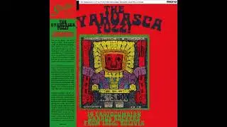 Various &ndash; The Ayahuasca Fuzz!: 14 Protocumbian Garage Rockers From 1960s Bolivia Music ALBUM LP