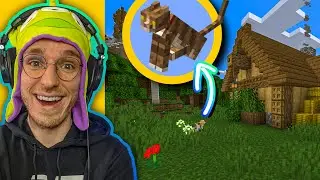 BESTE QUEST OOIT; VIND DE VERLOREN KAT IN MINECRAFT! - #8