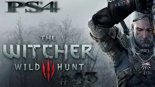 The Witcher 3:  Wild Hunt.  [Сюжет 43.] #Прохождение Rus.[PS4 slim]
