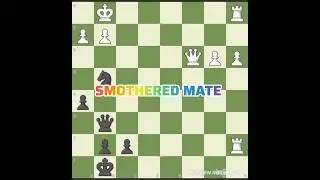 SMOTHERED MATE EXPLAINATION 1!|BY SP11 #chess #viral #chess #CHESSCOM #shortvideos #sp11 #inshot.