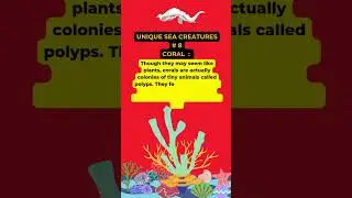 #SaveTheSeas #EcoFriendly #OceanLovers #MarineBiodiversity  #OceanEducation #WildlifeProtection