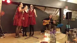 Peter Gun & The Paper Hats - St Louis Blues