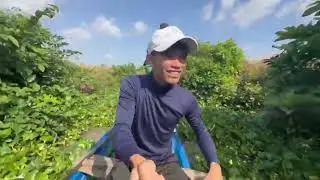 Câu cá ngoài đồng ruộng lúa và cái kết bất ngờ  