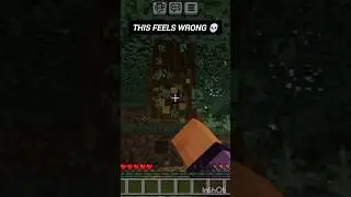 I started Minecraft with zero knowledge 💀