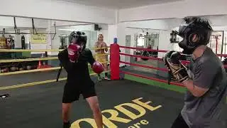 Sparr 2 elorde