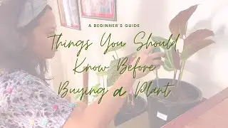 Things to Know When Becoming a First-Time Plant Parent (Philippines) | Learn with Elisha