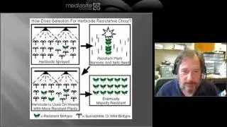 What are Superweeds?