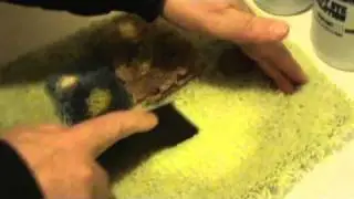 Correct Method For Dyeing Bleach Stains with carpet dye.           www.bleachstain.com