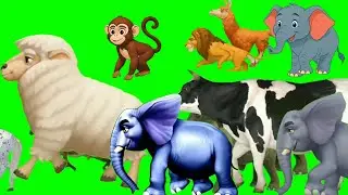 Wild forest crazy green screen animals crossover | Animals stampede | Animal stampede compilation