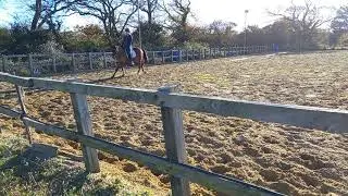 Charlie Adkins, Roseberry Sir Henry, E-Riders, November 2021.