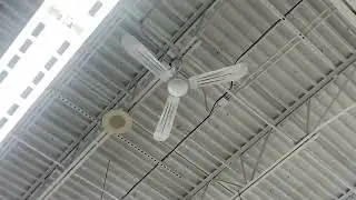 Canarm CP56 Industrial Ceiling Fan 4/4