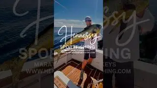 Mahi Mahi on the Big Fish 🎣 📍Marathon, Florida Keys ☀️