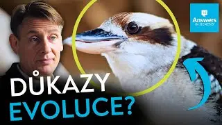 Důkazy evoluce? | Stvořitel nebo evoluce?
