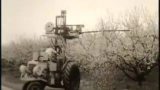 Orchard Pruner in Operation and Orchard Equipment Garage, Medford(?), Oregon, 1966