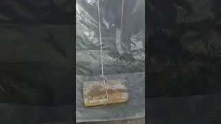 3 февраля 2026 г.