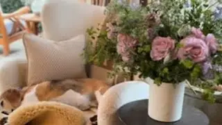 Meghan shares a rare glimpse inside her $14million mansion's living room - complete with royal nod