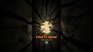 Rare Moon Events Coming in 2026 🌙
