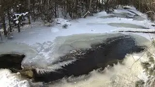 Live  McCaslin Brook Wildlife Frenzy | Nicolet National Forest 24/7