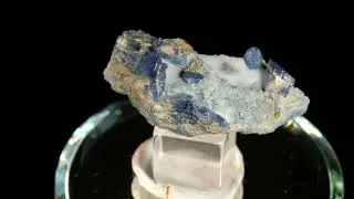 Benitoite Crystals with Natrolite, Dallas Gem Mine, San Benito Co., CA USA RARE!