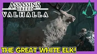 These Dudes Were Actually Mushrooms Disguised as Chickens!! / Assassin's Creed Valhalla Part 16