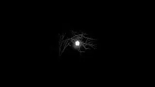 GHXSTLYY - BURIED, AWAKE
