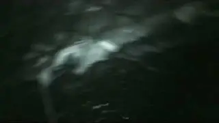 Attack of the Killer Worms