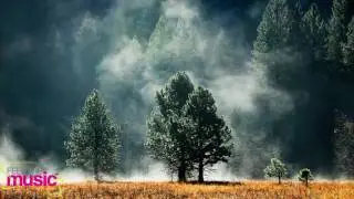 IHF (Imagined Herbal Flows) - Fade