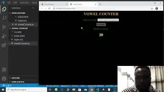Vowel Counter with JavaScript