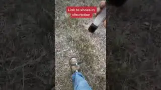 Blood Tracking Dog Training