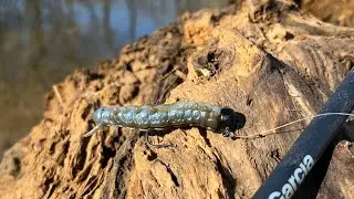 Fishing & Exploring 2 BEAUTIFUL Creeks Casting a STELLAR NEW Lure