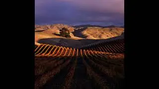 Greywacke