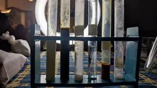 تحليل غش اللبن ف البيت| Adulteration test