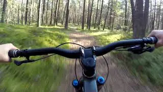 1st ride on my new Vitus Escarpe 29 VRX (2019)