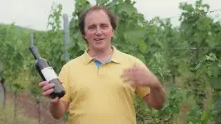 Verkostung Lemberger Gutswein