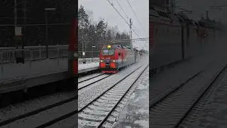 Приветливая сплотка из 2эс4к-059+вл10у-219+вл10у-683 проезжают о.п. Песочная.
