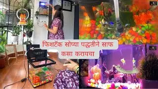 How to clean fish tank easily at home✌️#fishtank #fish #tank #fighterfish #beta #cleaning #goldfish 