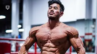 BAD WOLF 🐺 - Steven Cao