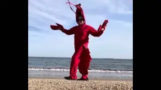 Lobster costume at the beach