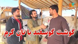 گوشت گوسفند با نان گرم برای هموطنان