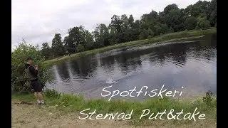 Spotfiskeri i Stenvad Put & take