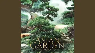 Zen Garden Vibes