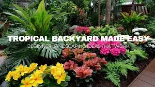 Easy Backyard Tropical Landscaping Ideas That Even Beginners Can Build
