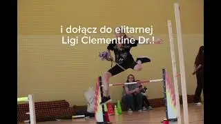 Liga hobby horse Clementine Dr.