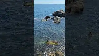 Русалки им завидуют! #shorts #крым #крымскиеканикулы #crimea #travel #отдых #discovery #путешествие