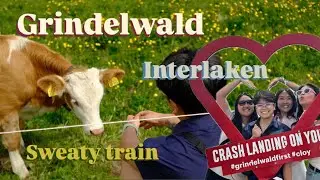Grindelwald, fluffy cows, & sardines on a train | Switzerland Days 21-23 | asian female solo travel