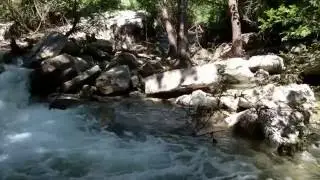 River Place Nature Trail